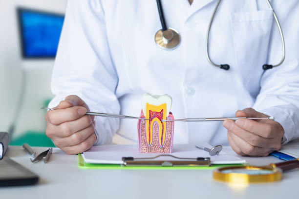  Forest Meadows, CA Emergency Dentist Pros